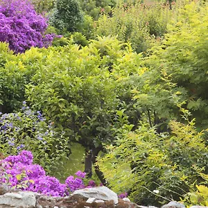 https://casa-nobile.hotelitalianriviera.com
